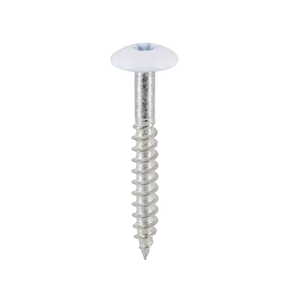 Torx rvs schroef 4.8 x 38 mm 100 st. Wit RAL 9010
