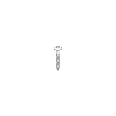 Keralit Torx rvs schroef 30 mm 200 st 