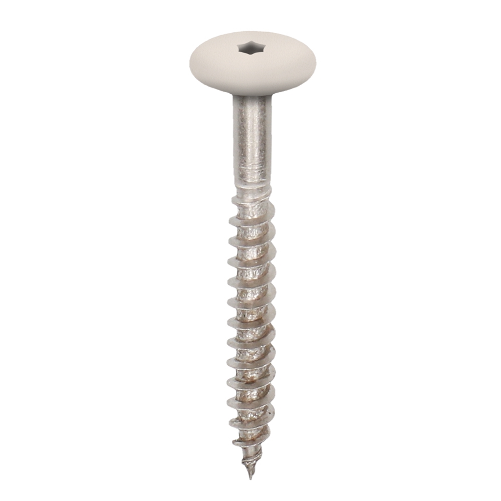 Crème torx schroef 45mm heering
