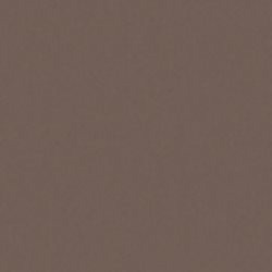 Milyt HPL Plus Plaat 3050 x 1300 x 6 mm bruin