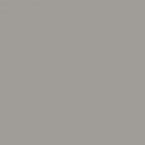Milyt HPL Plaat 3050 x 1300 x 6 mm grijs