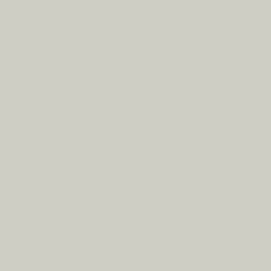 Milyt HPL Plaat 3050 x 1300 x 6 mm lichtgrijs