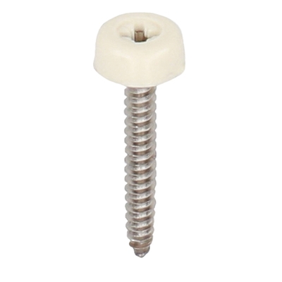 Polytop schroeven RVS - Heering (100 st) creme 40mm