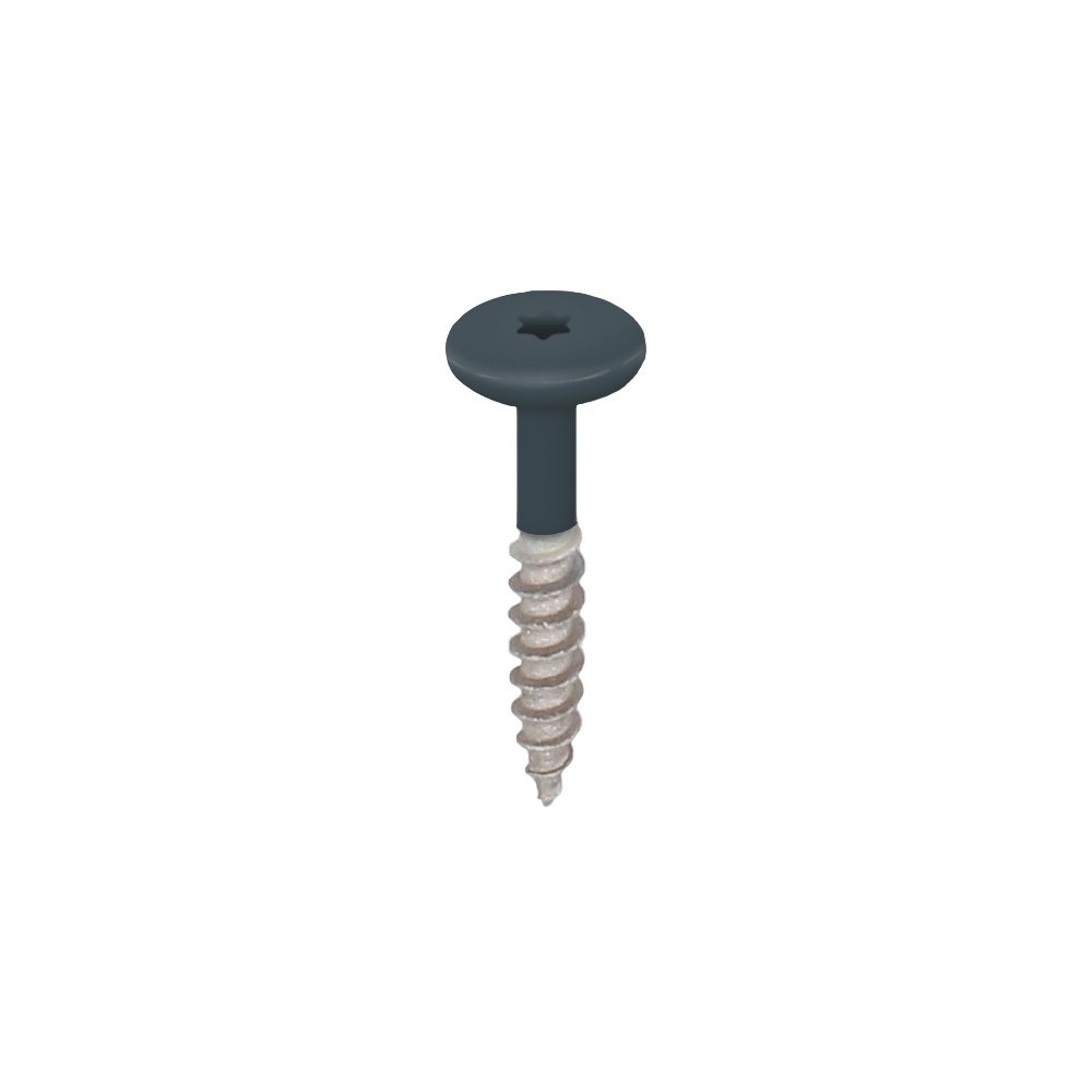 monumentenblauw keralit torx schroef rvs 32 mm 