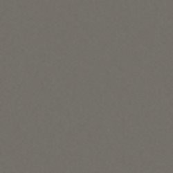 Milyt HPL Plus Plaat 3050 x 1300 x 6 mm donkergrijs