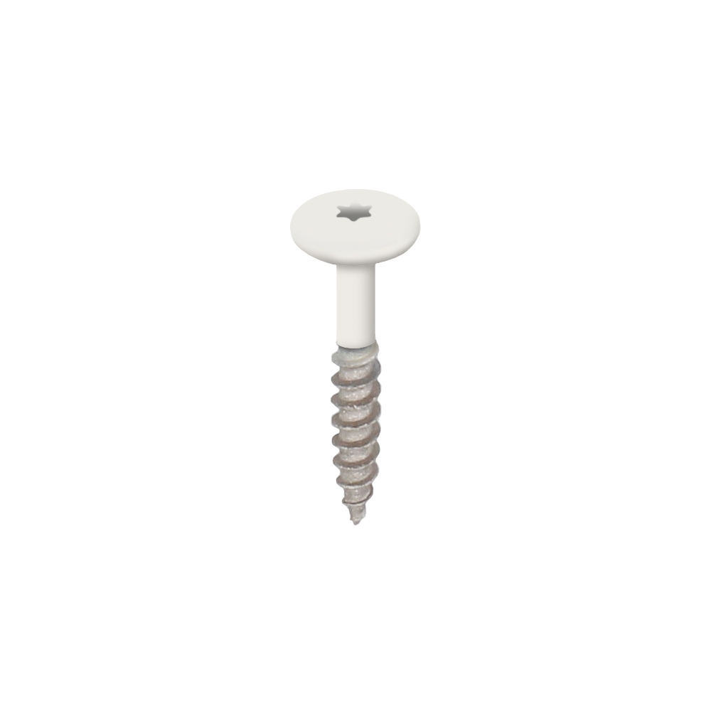 Torx schroef RVS 32 mm Wit - Heering (2890)
