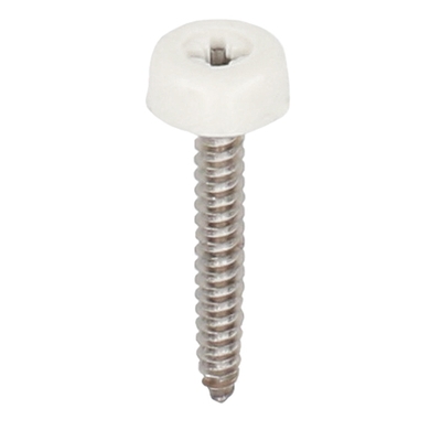 Polytop schroeven RVS 40mm Verkeerswit - Heering (100 st) (2694)