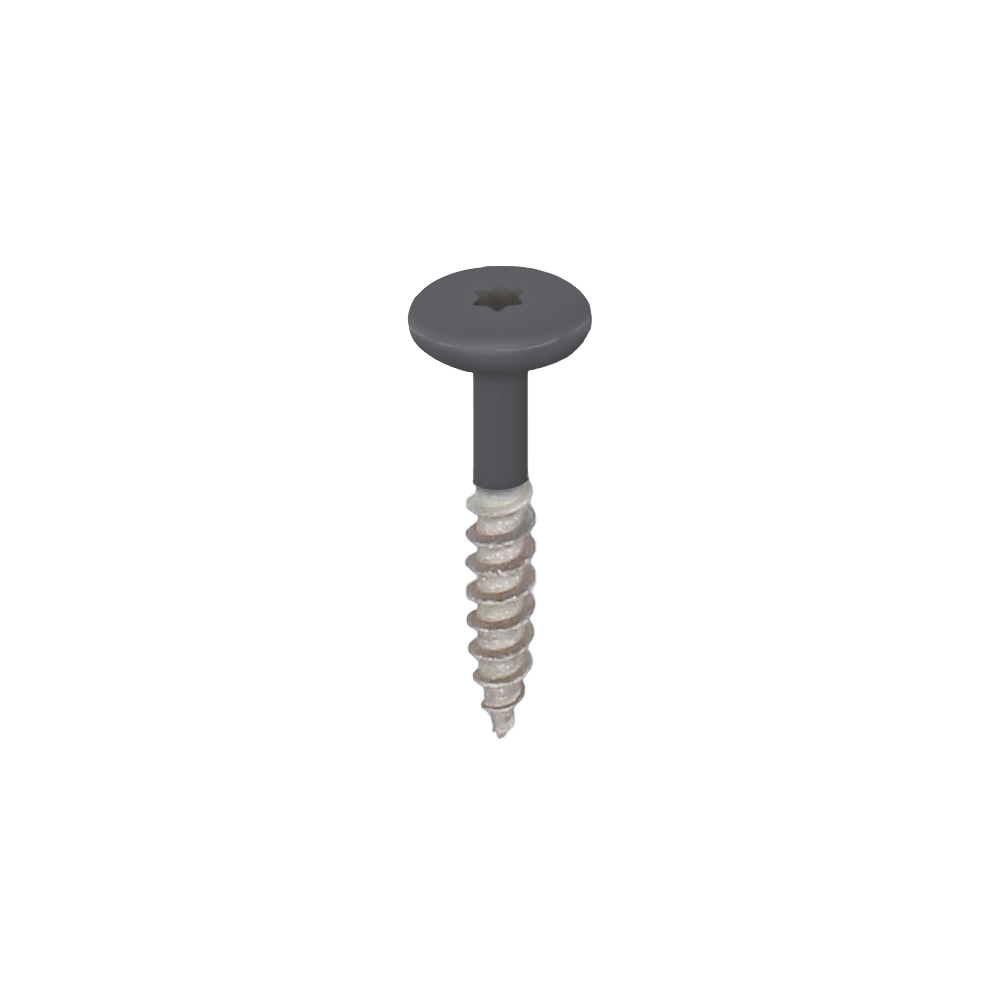 Torx schroef RVS 32 mm 100st Antraciet - Keralit