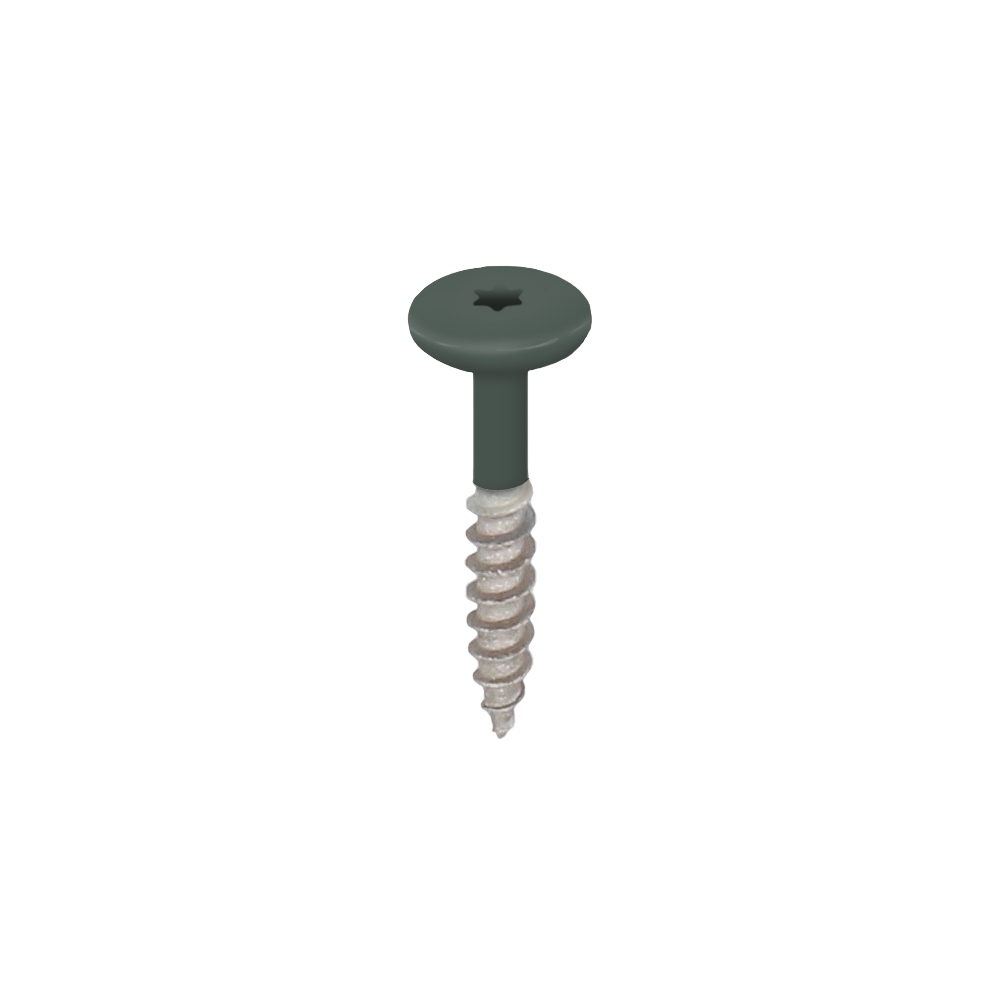 Torx schroef RVS 32 mm 100st Donkergroen - Keralit