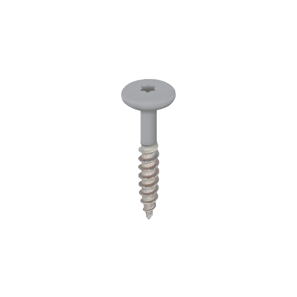 Torx schroef RVS 32 mm 100st Grijs - Keralit