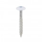 Wit Torx rvs schroef 4.8 x 38 mm 100 st. kleur