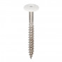 Wit torx schroef 45mm heering (2895)