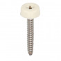 Polytop schroeven RVS - Heering 30mm (100 st) creme (2693)