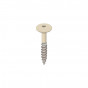 licht ivoor keralit torx schroef rvs 32 mm (2890)