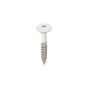 wit keralit torx schroef rvs 32 mm (2890)