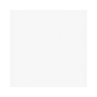 vlak kunststof paneel 250 x 10mm (holle schroot) wit