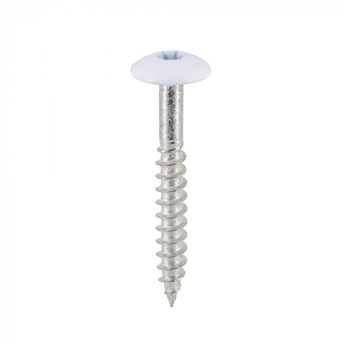 Wit Torx rvs schroef 4.8 x 38 mm 100 st. kleur