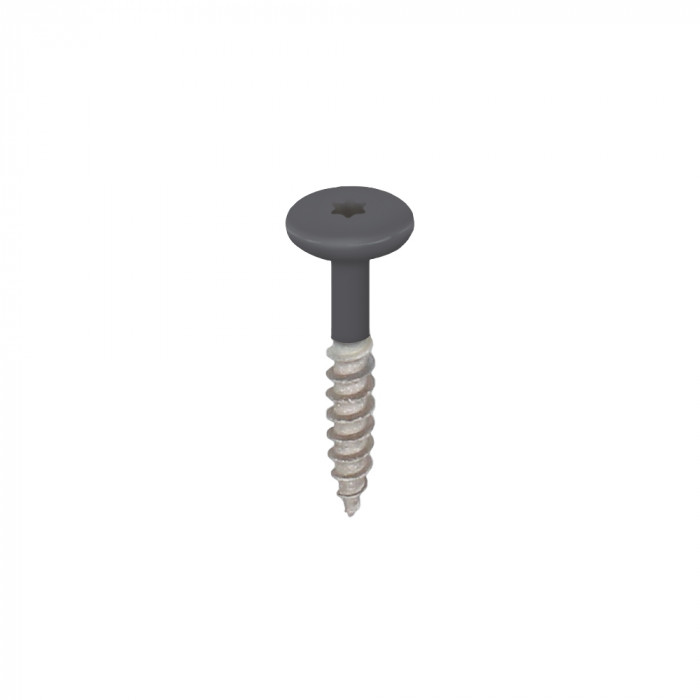 antraciet keralit torx schroef rvs 32 mm (2890)