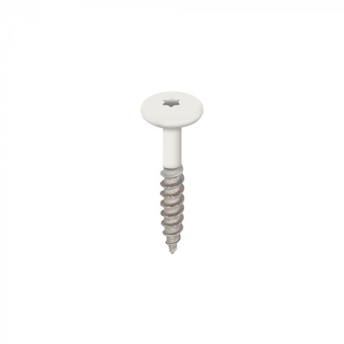 wit keralit torx schroef rvs 32 mm (2890)