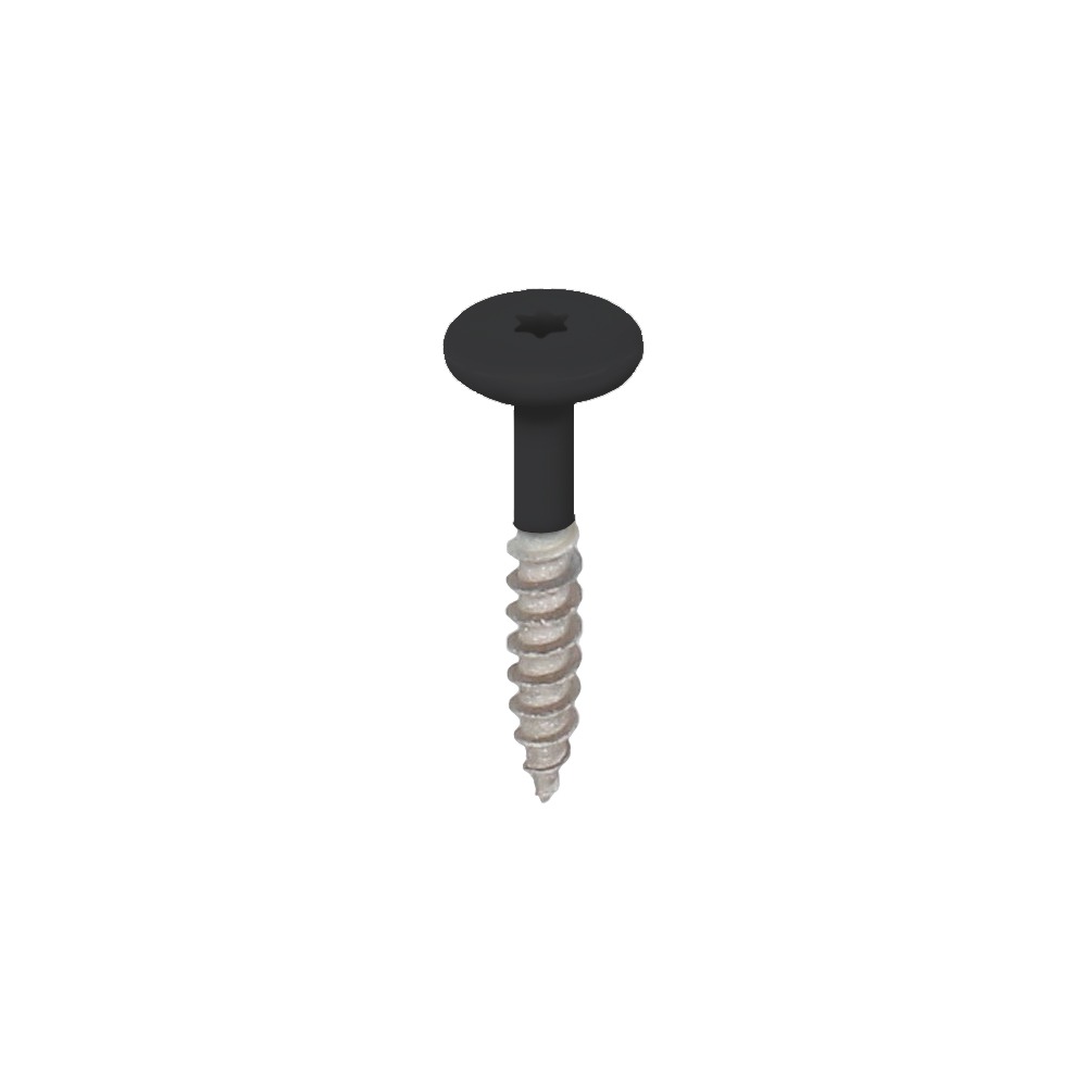 Torx schroef RVS 32 mm 100st Grafietzwart - Keralit (2890)